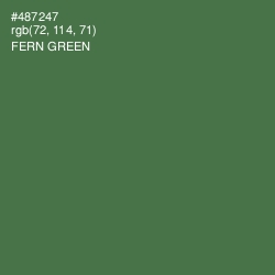 #487247 - Fern Green Color Image