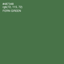 #487348 - Fern Green Color Image