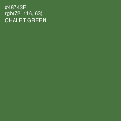 #48743F - Chalet Green Color Image