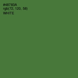 #48783A - Chalet Green Color Image