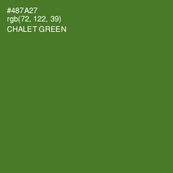 #487A27 - Chalet Green Color Image