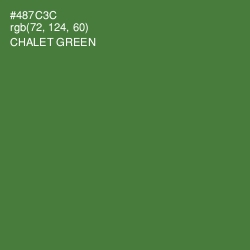 #487C3C - Chalet Green Color Image