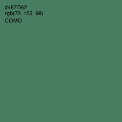 #487D62 - Como Color Image