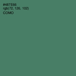 #487E66 - Como Color Image