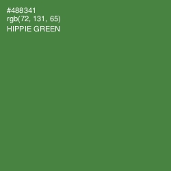 #488341 - Hippie Green Color Image