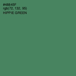 #48845F - Hippie Green Color Image