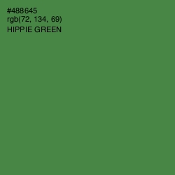 #488645 - Hippie Green Color Image