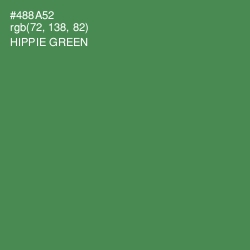 #488A52 - Hippie Green Color Image