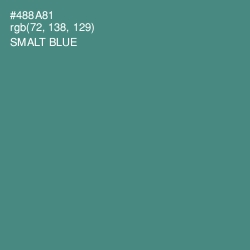 #488A81 - Smalt Blue Color Image