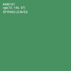 #489161 - Spring Leaves Color Image