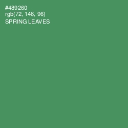 #489260 - Spring Leaves Color Image