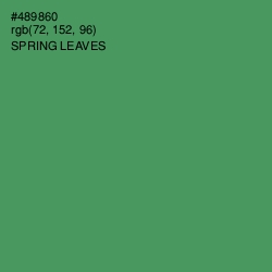 #489860 - Spring Leaves Color Image