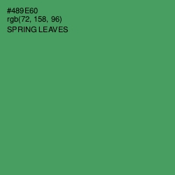 #489E60 - Spring Leaves Color Image