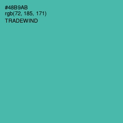 #48B9AB - Tradewind Color Image