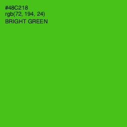 #48C218 - Bright Green Color Image