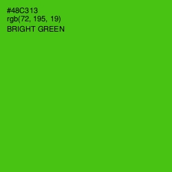 #48C313 - Bright Green Color Image