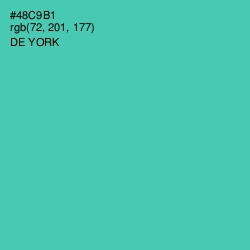 #48C9B1 - De York Color Image