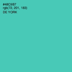 #48C9B7 - De York Color Image