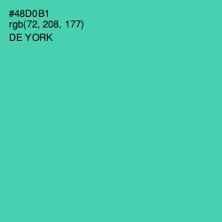 #48D0B1 - De York Color Image