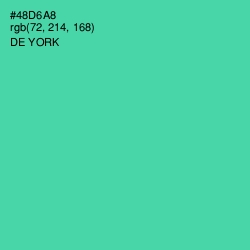 #48D6A8 - De York Color Image