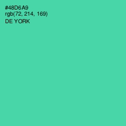 #48D6A9 - De York Color Image