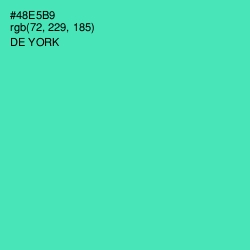 #48E5B9 - De York Color Image