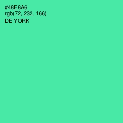 #48E8A6 - De York Color Image