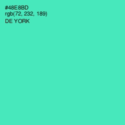 #48E8BD - De York Color Image