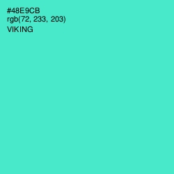 #48E9CB - Viking Color Image