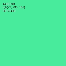 #48EB9B - De York Color Image