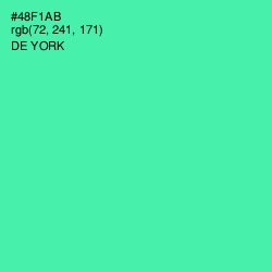 #48F1AB - De York Color Image