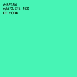 #48F3B6 - De York Color Image