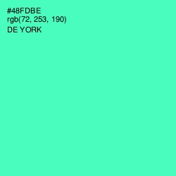 #48FDBE - De York Color Image