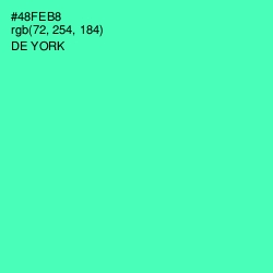 #48FEB8 - De York Color Image