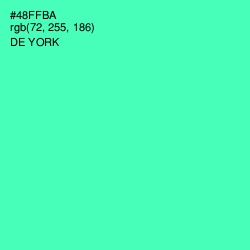 #48FFBA - De York Color Image