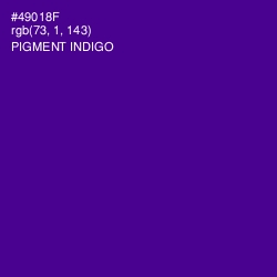 #49018F - Pigment Indigo Color Image