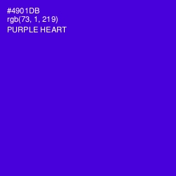 #4901DB - Purple Heart Color Image