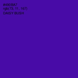 #490BA7 - Daisy Bush Color Image