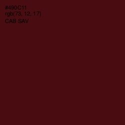 #490C11 - Cab Sav Color Image