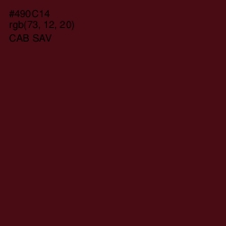 #490C14 - Cab Sav Color Image