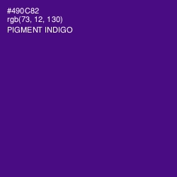 #490C82 - Pigment Indigo Color Image