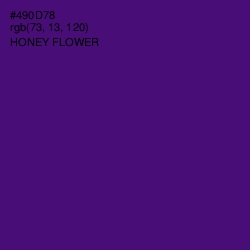 #490D78 - Honey Flower Color Image