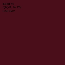 #490E19 - Cab Sav Color Image