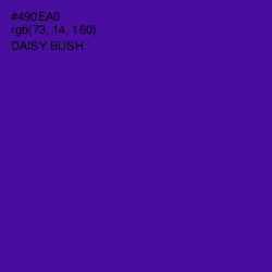 #490EA0 - Daisy Bush Color Image