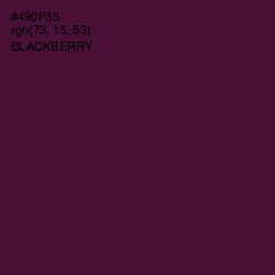 #490F35 - Blackberry Color Image