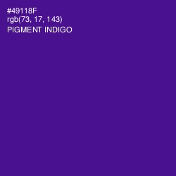 #49118F - Pigment Indigo Color Image