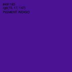 #491193 - Pigment Indigo Color Image