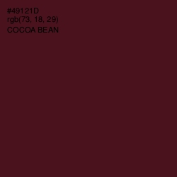 #49121D - Cocoa Bean Color Image