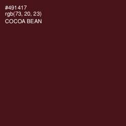 #491417 - Cocoa Bean Color Image
