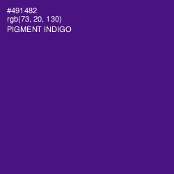 #491482 - Pigment Indigo Color Image